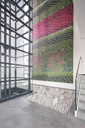 Raumakustik Wandverkleidung Treppenhaus mit Dekoprint und Steingarten